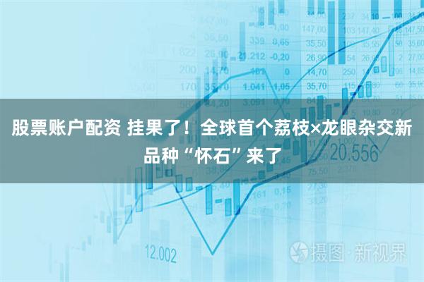 股票账户配资 挂果了！全球首个荔枝×龙眼杂交新品种“怀石”来了